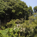 三嶋神社は丘の上の森
